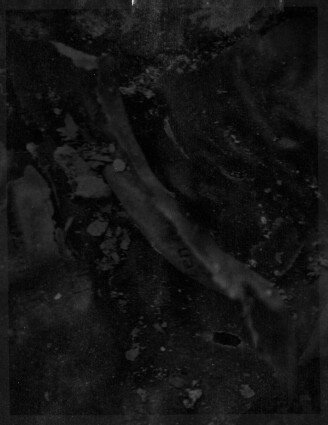 Fine Art: Cease fire